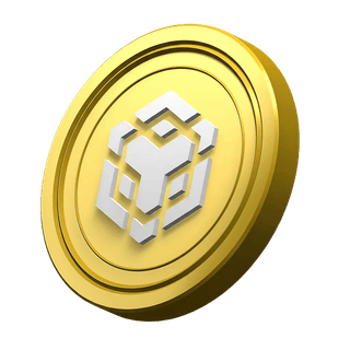 BNB coin displayed decoratively in the platform information section